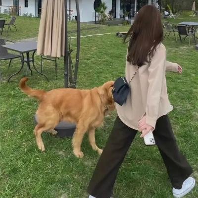 手提箱女郎